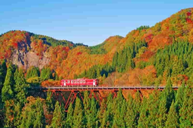 Check out these 11 gorgeous autumn leaves spots in Tohoku area