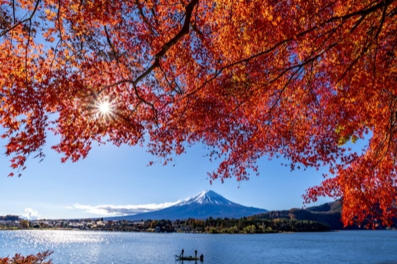 Momiji Tunnel (Maple Tunnel)