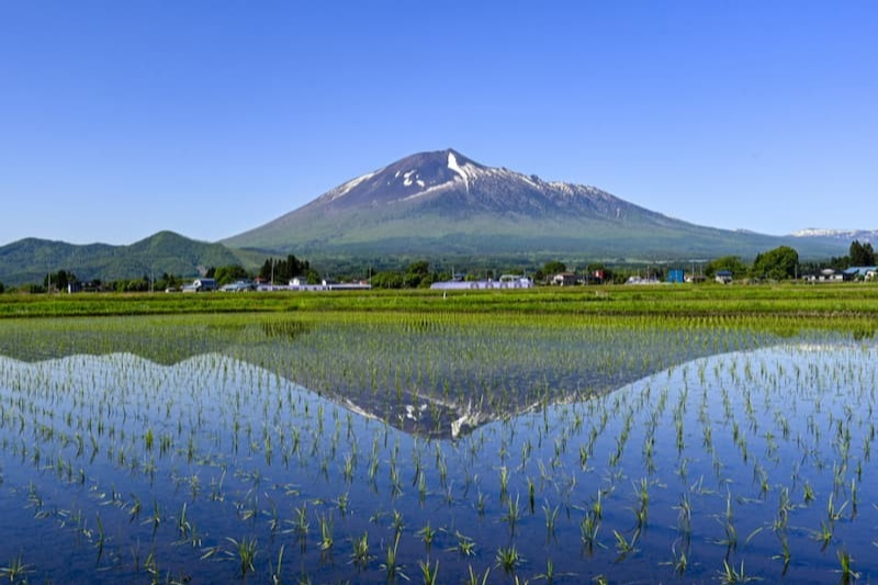南部富士 逆さ南部富士（さかさなんぶふじ）