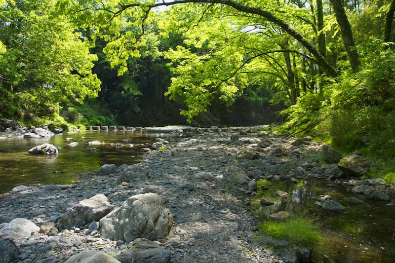 4112　外国切手　グリーンランド　山岳風景　世界遺産　美しい Agatsuma Gorge