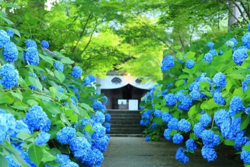 世界の知らない日本の絶景写真｜ZEKKEI Japan