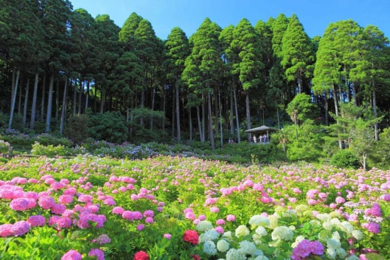 Japan's Best Scenic Destinations | ZEKKEI Japan