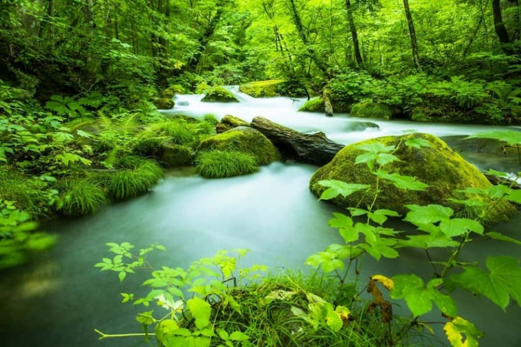 Japan's Best Scenic Destinations | ZEKKEI Japan