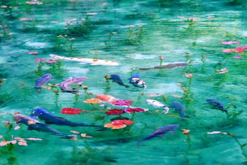 本　世界の名景　絶景55     7冊 本 世界の名景 絶景55 7冊 本 世界の名景 絶景55