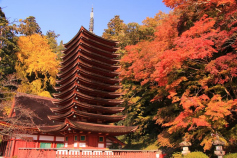 日本風景5 Japan's Best Scenic Destinations | ZEKKEI Japan