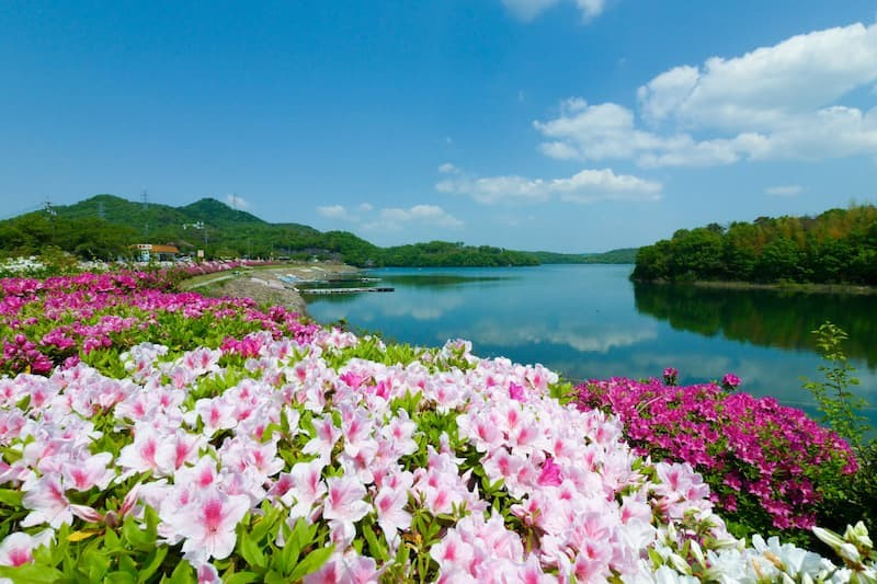 入鹿池