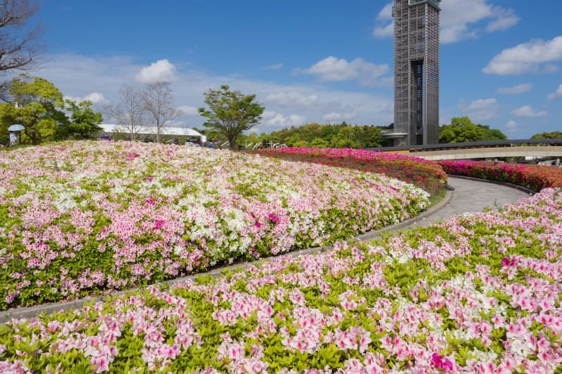 滨名湖花园公园