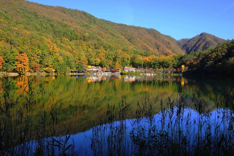 【新品未使用】 SHISHIKUI lievre lon / OFF Sサイズ lievre lon / OFF – SHISHIKUI