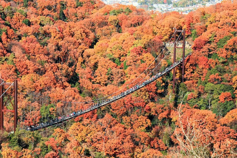 Prefectural Forest Hoshida Park