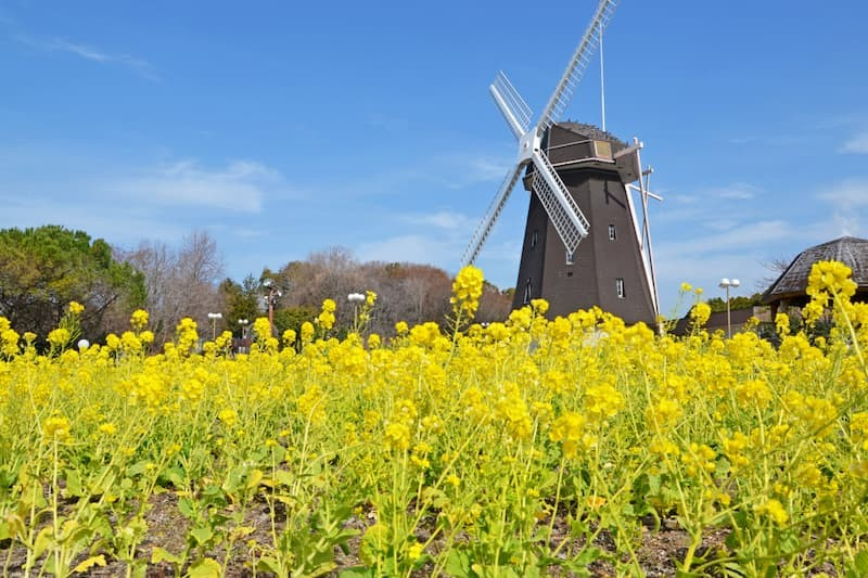 Flower Expo Memorial Park Tsurumi Ryokuchi