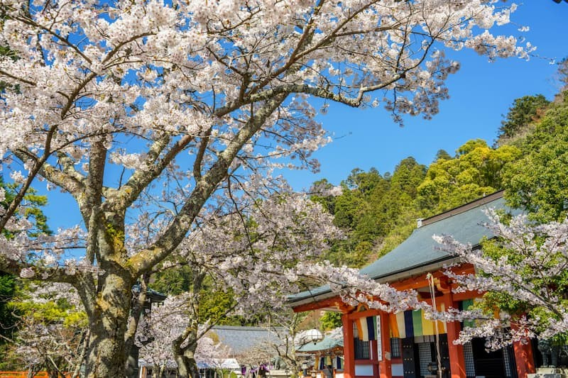 鞍馬寺