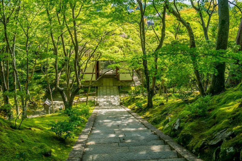6/50 1974 常寂光寺 常寂光寺について – 常寂光寺 JOJAKKO-JI
