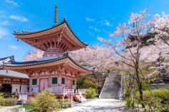吉野山の絶景｜ZEKKEI Japan