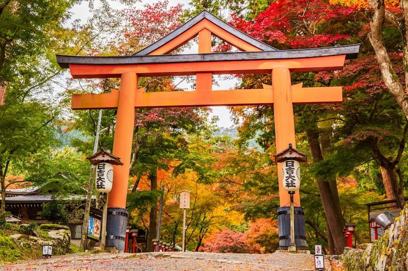 2024年】滋賀県・琵琶湖周辺の紅葉名所7選！メタセコイア並木から鶏足