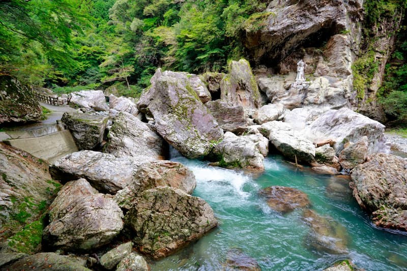 【中古】 せめて青い花のために/山と渓谷社/石原都子 Nakatsu Gorge