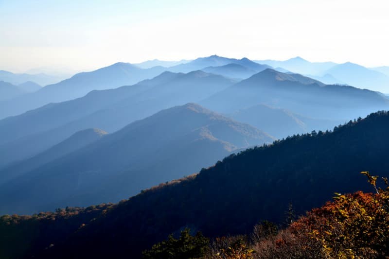 Kenzan