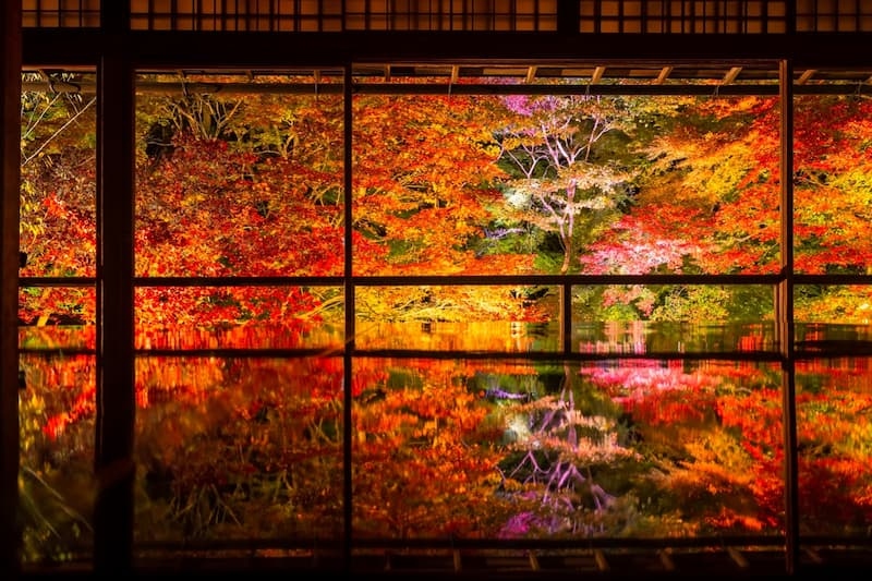 西山雪 ガラス プレート 青紅葉 西山雪 ガラス プレート 青紅葉 西山雪