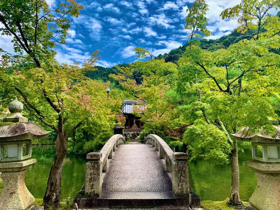 結果発表！2020年第1回『都道府県自慢！コロナが落ち着いたら行きたい