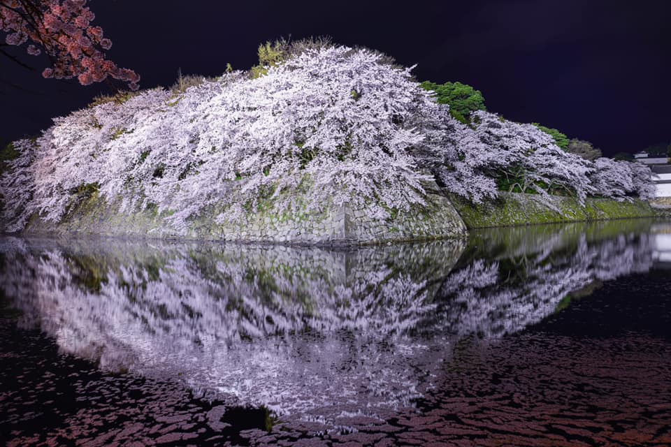 10 Superb Views to Visit after Covid-19 virus in Japan! The
