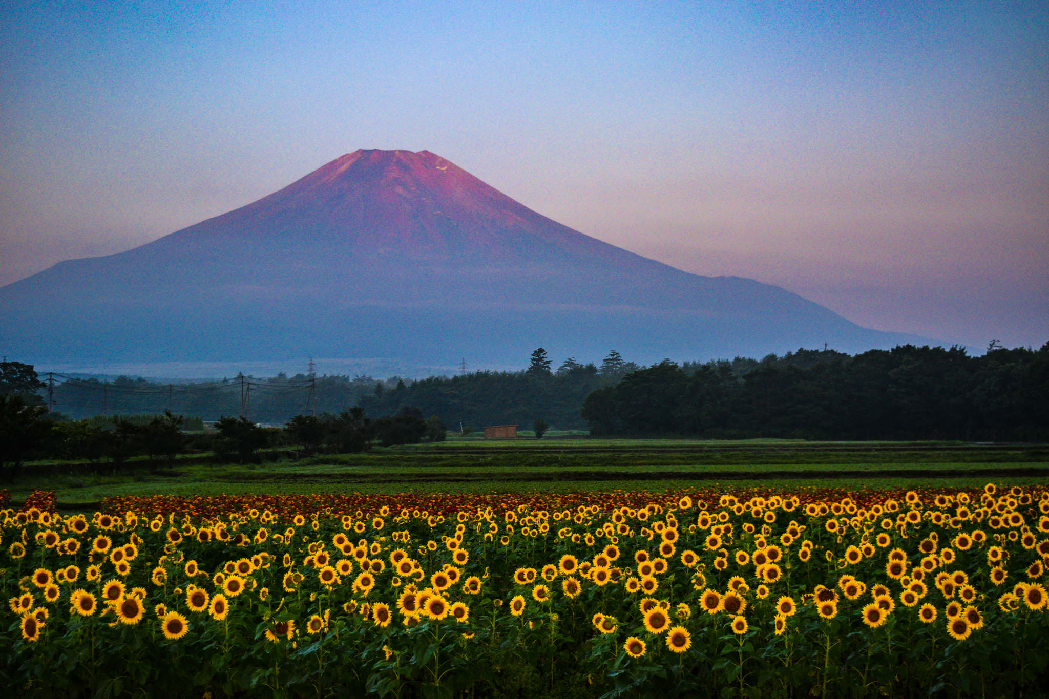 10 Superb Views to Visit after Covid-19 virus in Japan! The