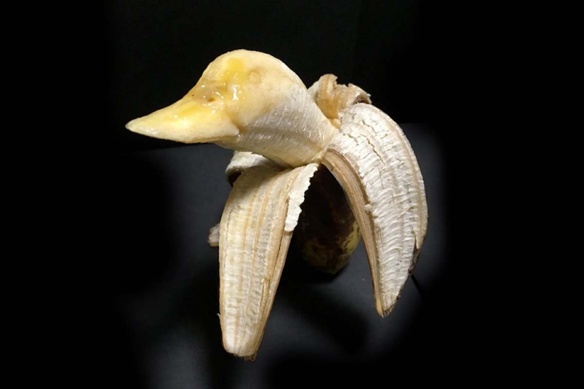 Amazing bananas with expressions carved by Keisuke Yamada, a