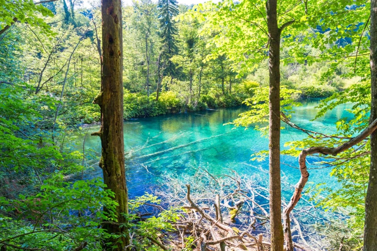 世界一周経験者が選ぶ】世界の絶景にそっくりな日本の絶景10選｜ZEKKEI