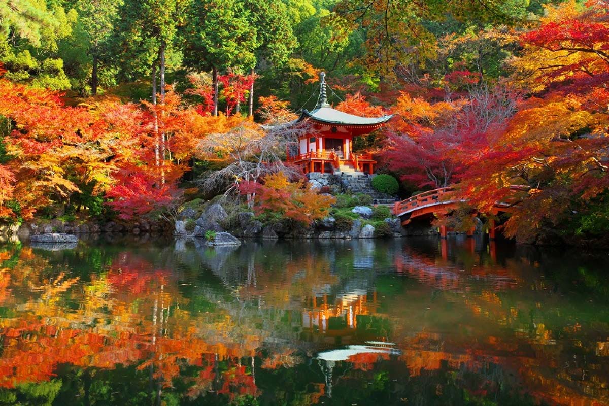 醍醐寺