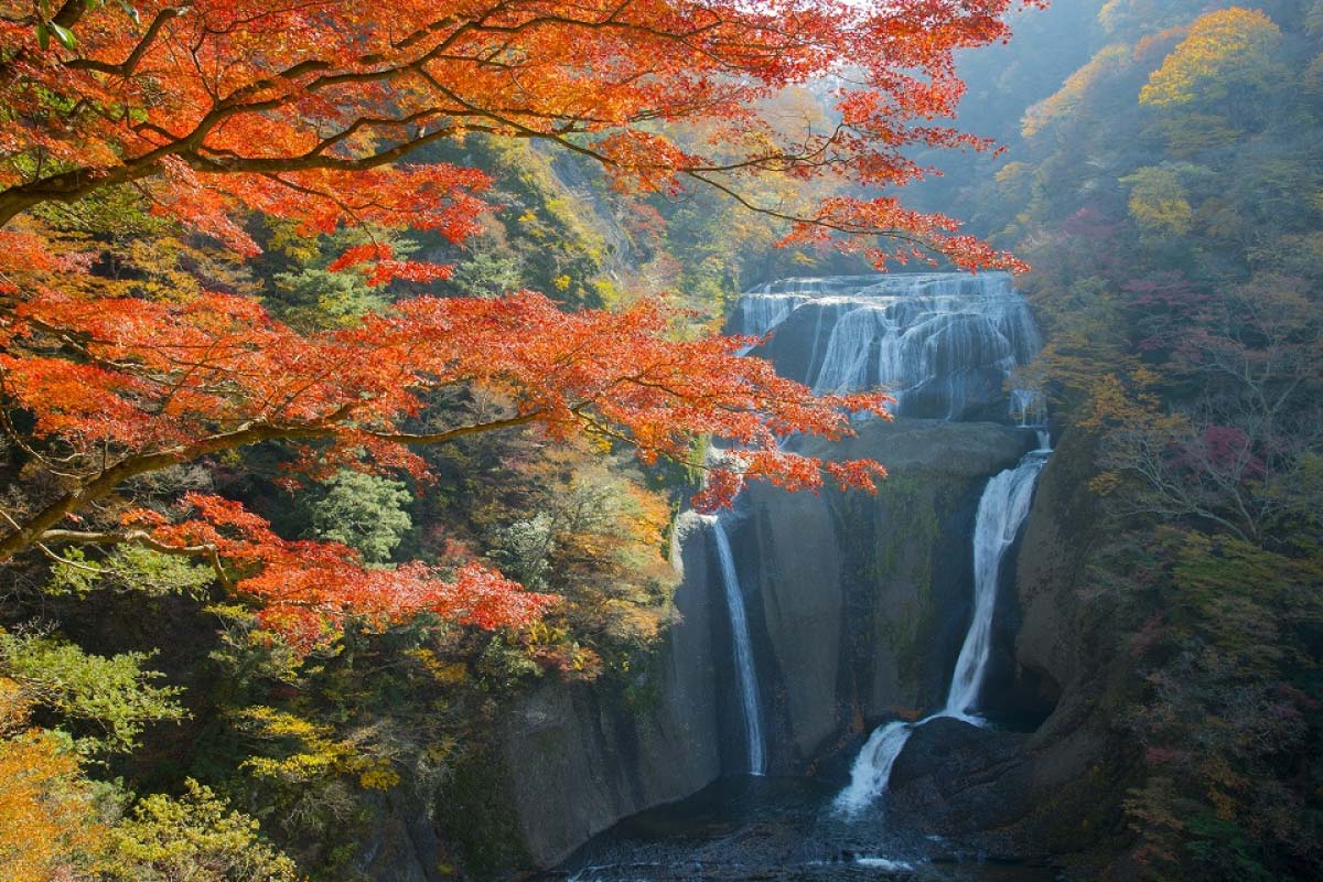 2018年の紅葉めぐりに！ZEKKEI Japan「人気紅葉ランキングベスト10
