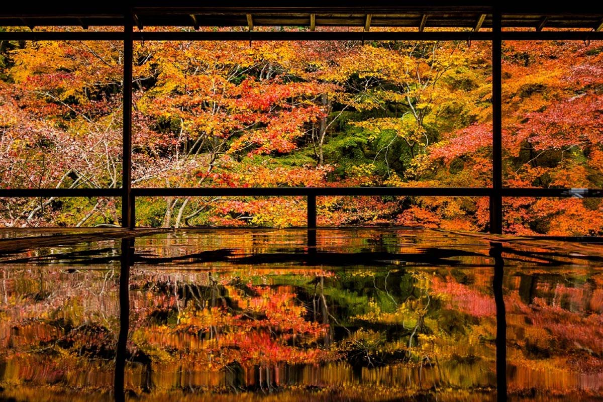 瑠璃光院