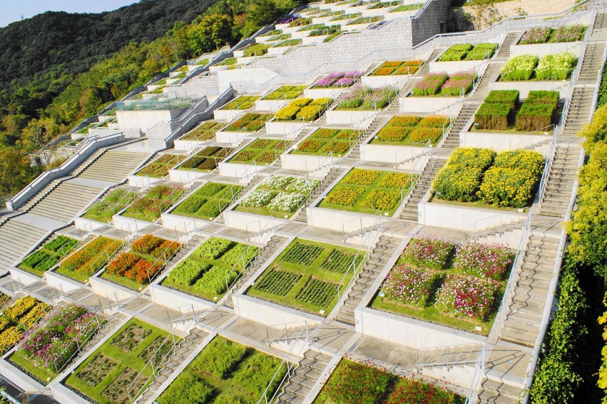 安藤忠雄絕景建築 從教堂三部曲到頭大佛 日本的安藤建築作品巡禮 絕景日本