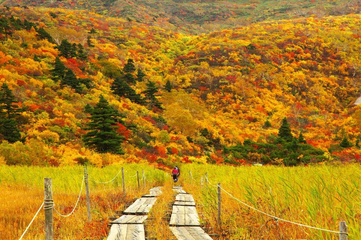 一度は見たい日本全国の紅葉絶景名所スポット20選【秋におすすめ