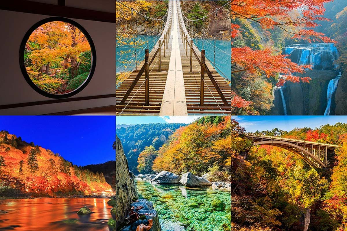 2018年の紅葉めぐりに！ZEKKEI Japan「人気紅葉ランキングベスト10