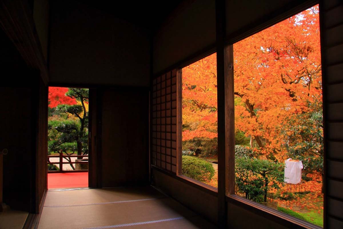 11月 12月最佳追楓期 18年版嚴選10大 京都 賞楓絕景 絕景日本