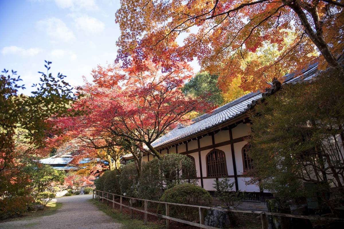 醍醐寺
