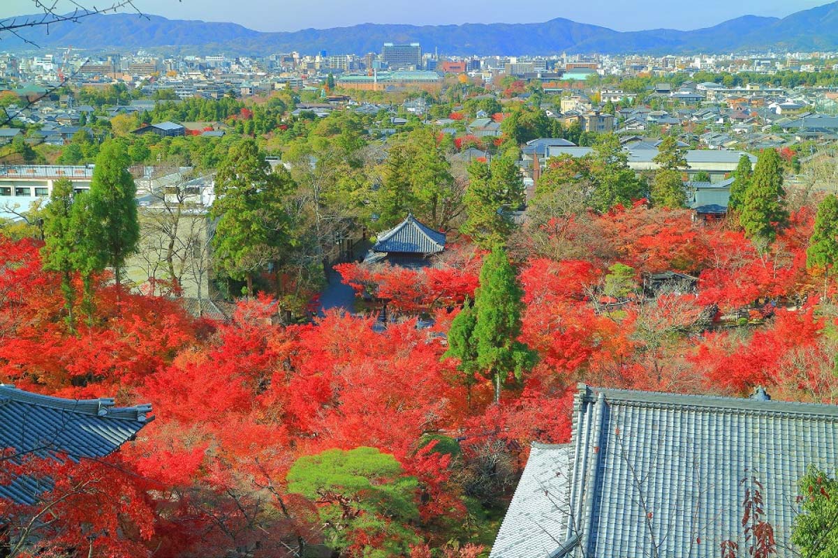 京都の紅葉絶景 永観堂 の見どころ 拝観時間やライトアップもご紹介 Zekkei Japan
