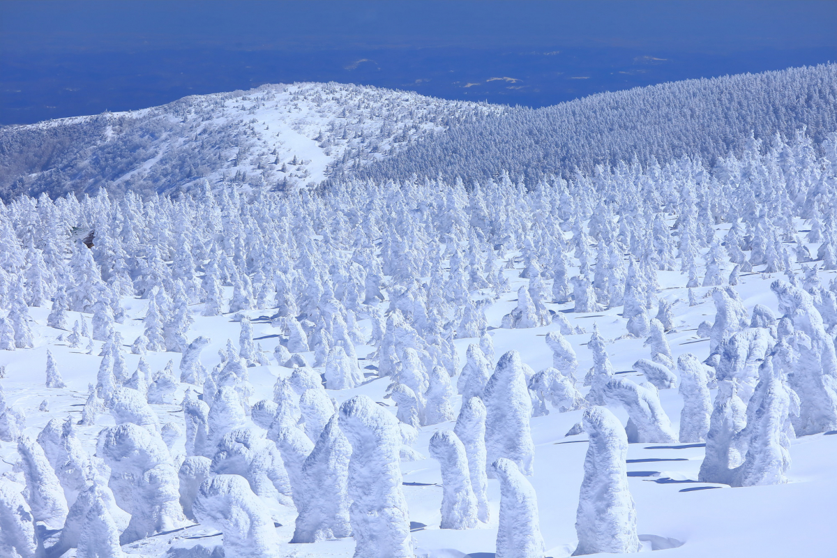 【真作】掛軸　青治銘　雪景の詩情　山間の冬景色　幽玄の冬景　銀世界　Q95 真作】掛軸 青治銘 雪景の詩情 山間の冬景色 幽玄の冬景 銀世界