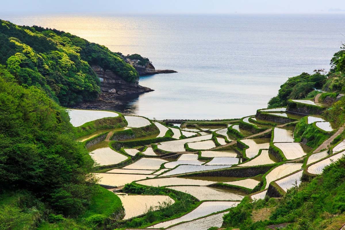 浜野浦の棚田