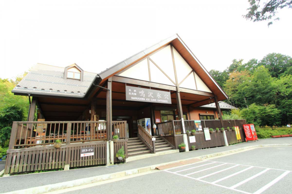 日本出名的自殺森林 青木原樹海 居然有著令人讚嘆的自然絕景 絕景日本