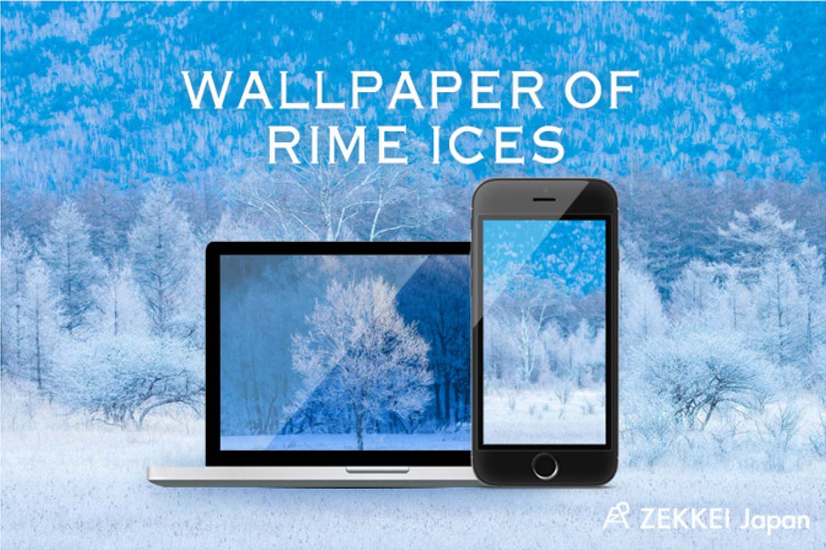Japan S Wallpaper Superb View Wallpaper Of Rime Ices Ice Crystals Glittering In The World Covered With Snow Zekkei Japan Japan S Wallpaper Superb View Wallpaper Of Rime Ices Ice Crystals Glittering In The World Covered With Snow Zekkei Japan