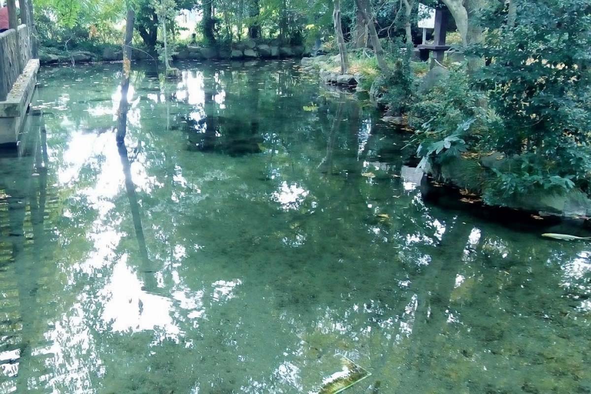東京都あきる野市にある『モネの池』のような2つの湧水池｜ZEKKEI Japan