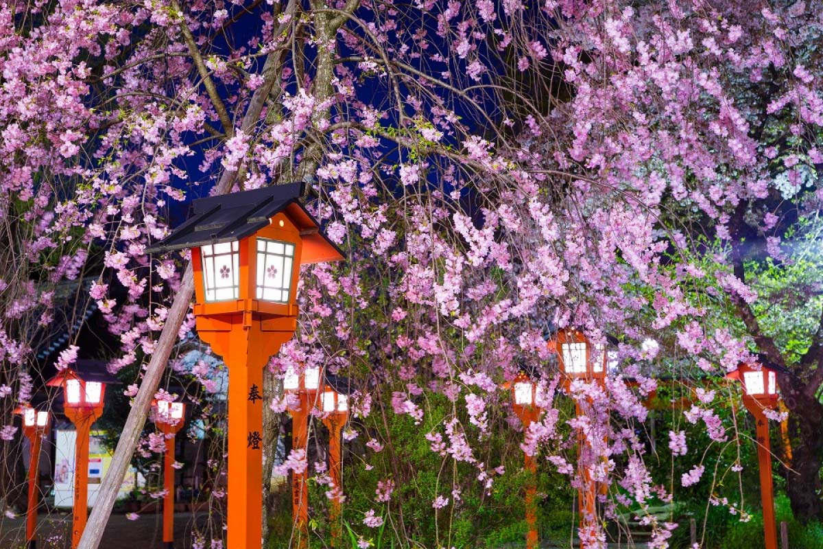春はすぐそこ！3月に旅行に行きたい日本の絶景スポット7選｜ZEKKEI Japan