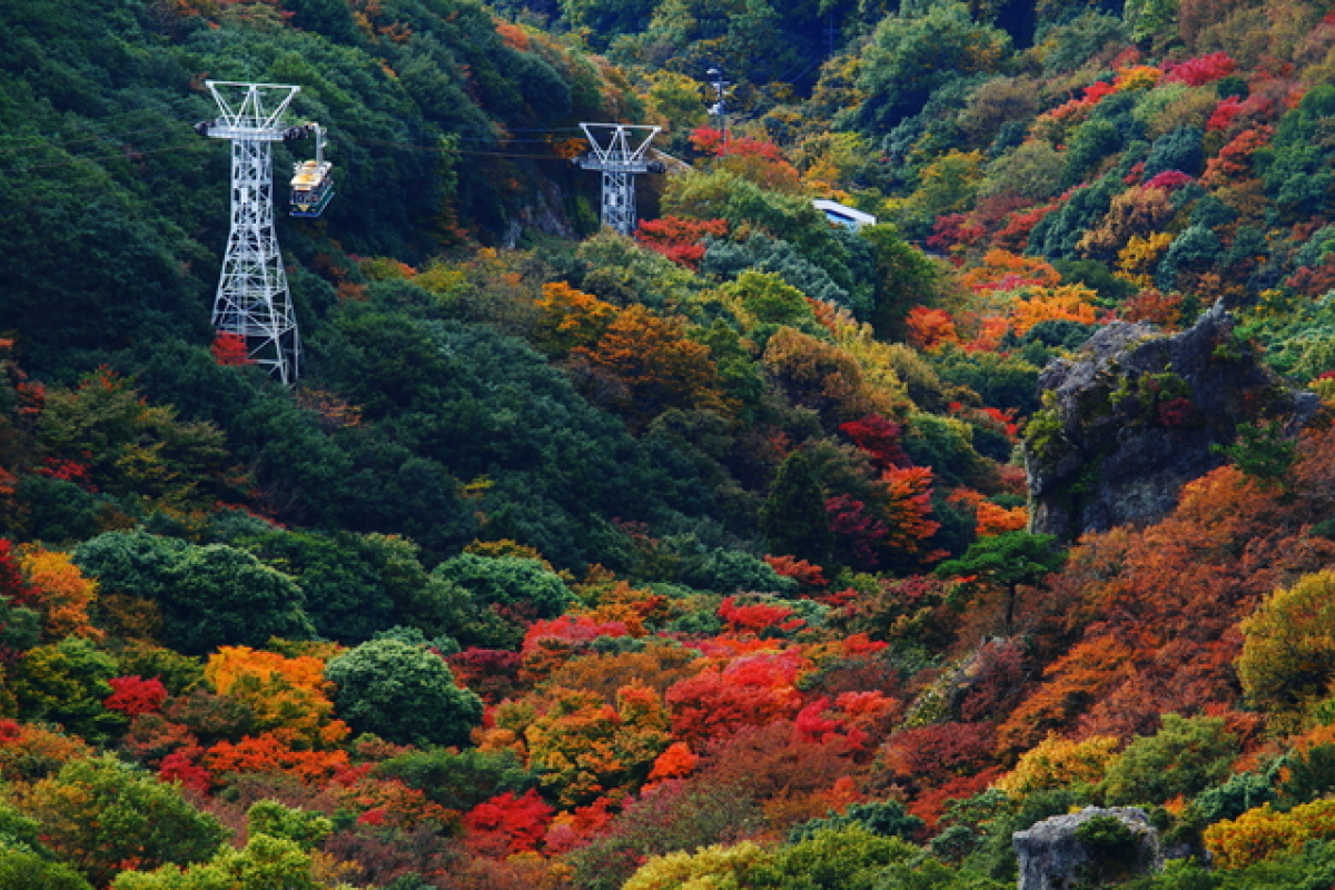 豪華風景写真集　北国の四季 豪華風景写真集 北国の四季 SEASONAL JAPAN -The Exquisite