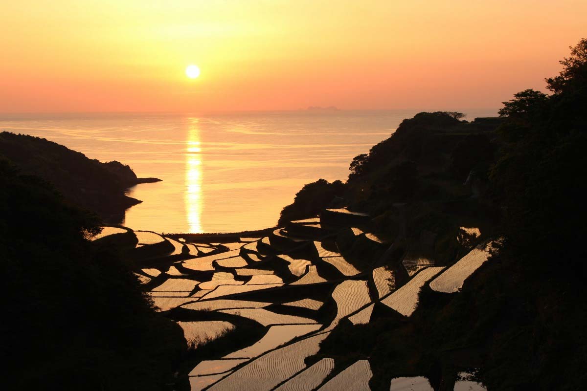 浜野浦の棚田