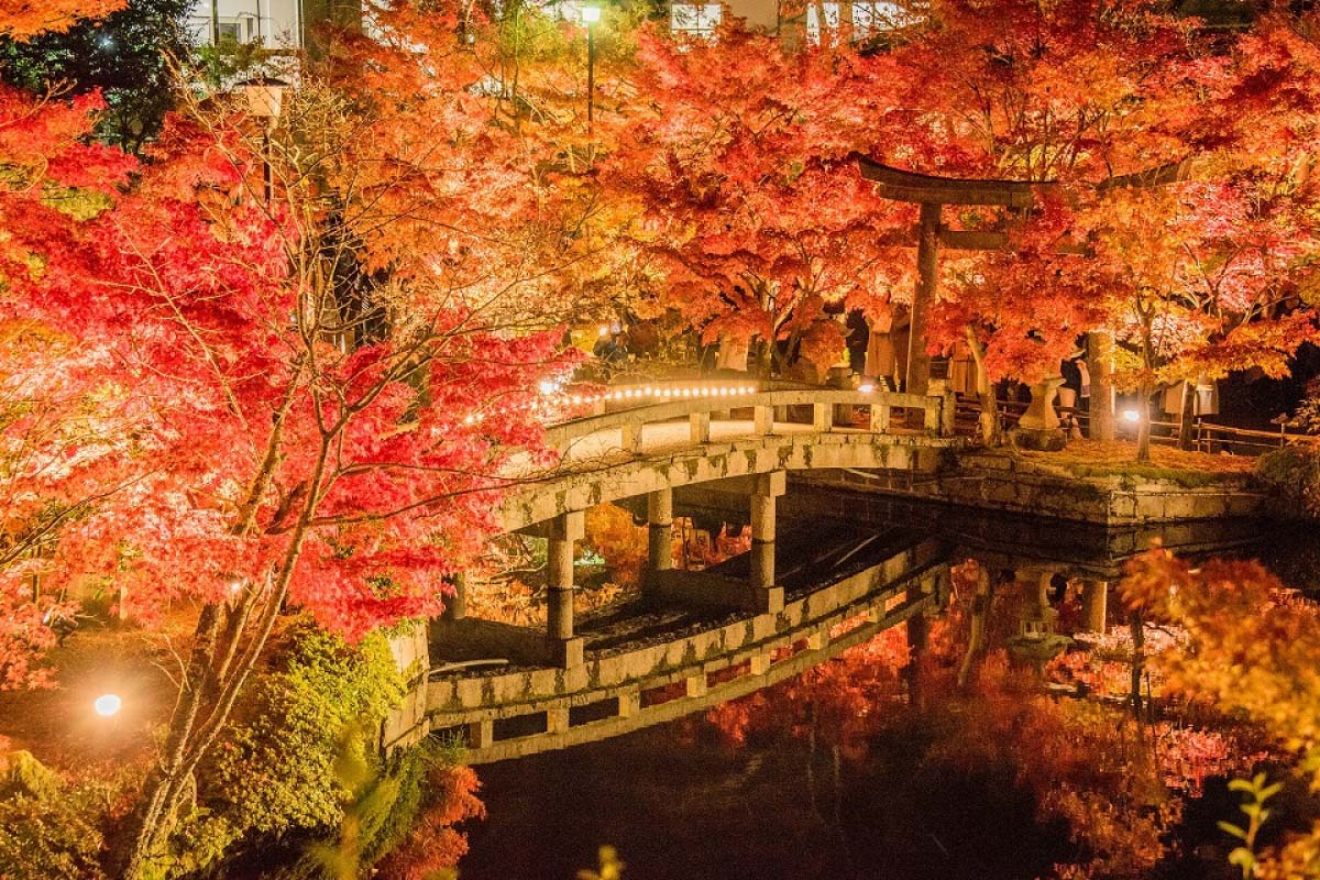京都の紅葉絶景 永観堂 の見どころ 拝観時間やライトアップもご紹介 Zekkei Japan