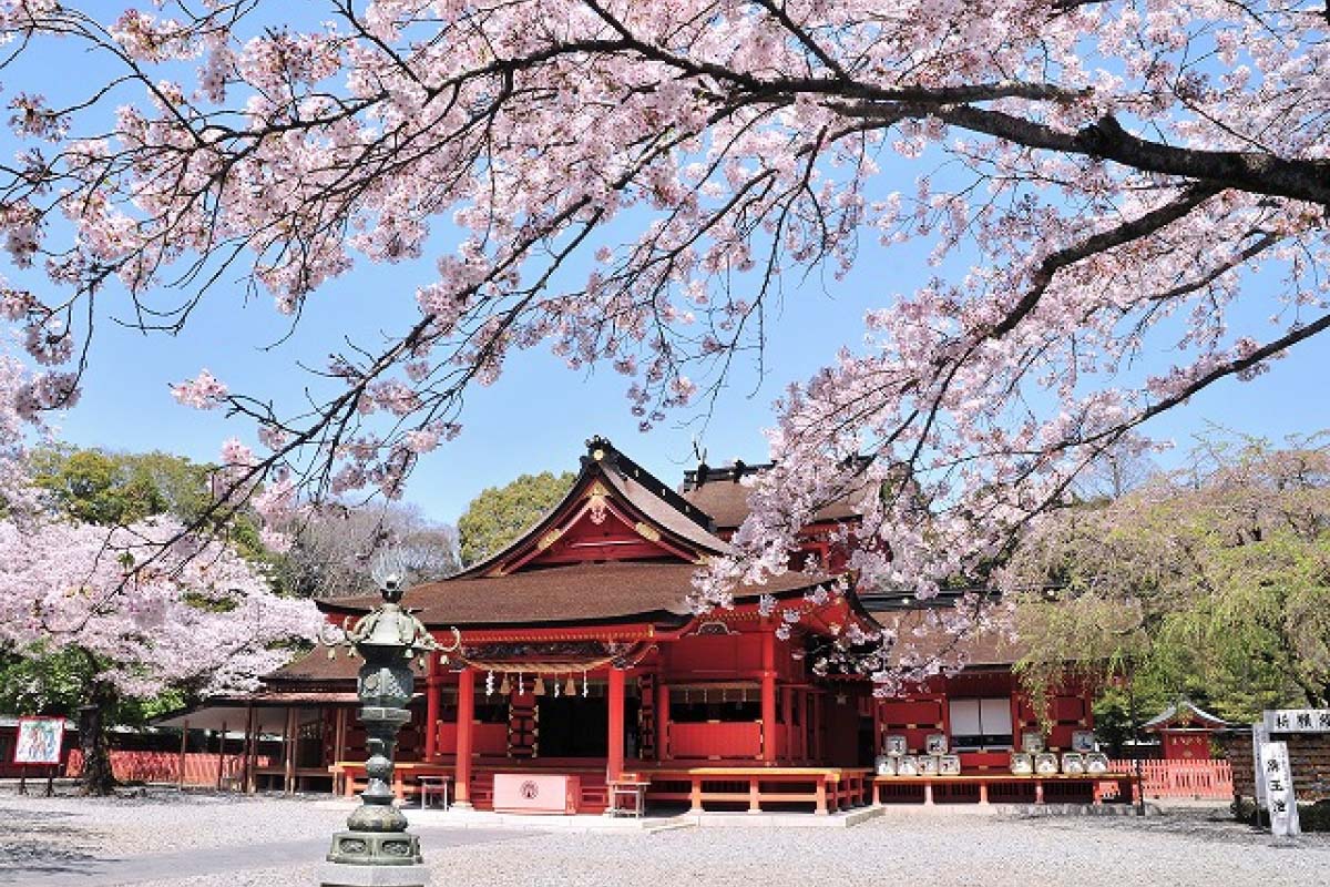 夏天就該前進富士山 周邊旅遊這樣玩 絕景日本
