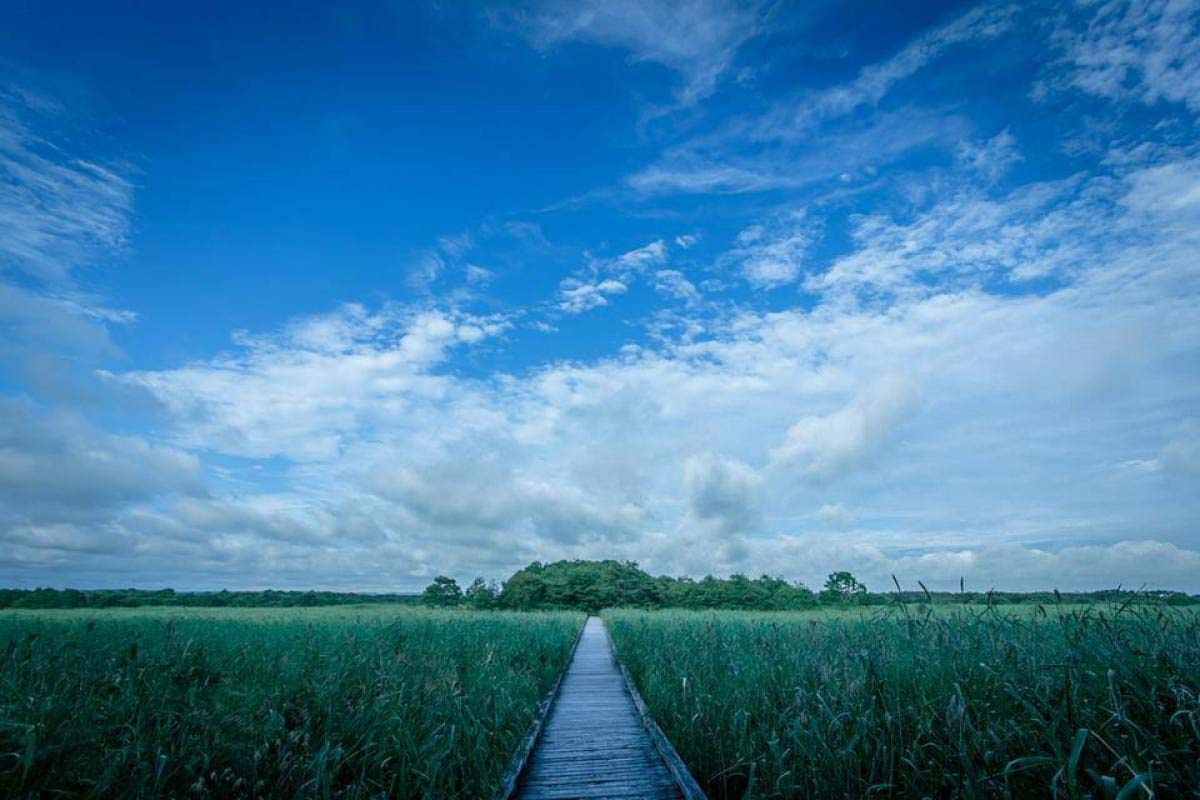 日本の絶景写真コンテスト～12月の作品ピックアップ~Ver.4