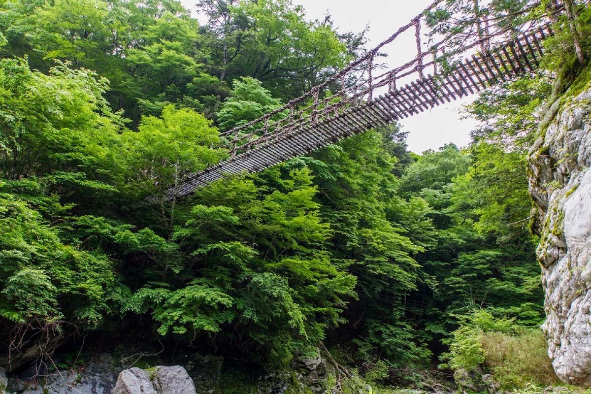 奥祖谷二重かずら橋