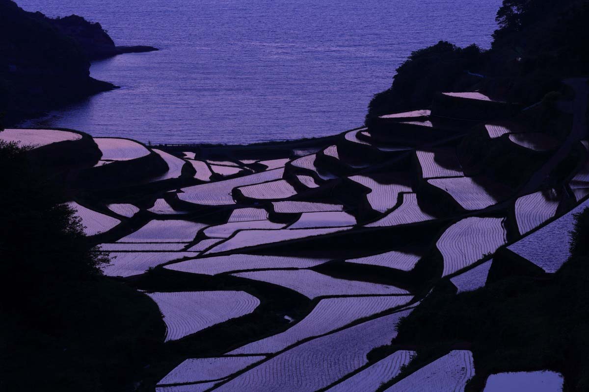 浜野浦の棚田