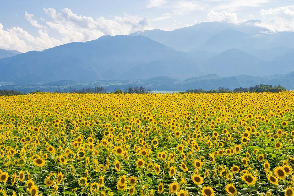 2023】夏休みの国内旅行ならここ！8月におすすめな人気絶景スポット10 