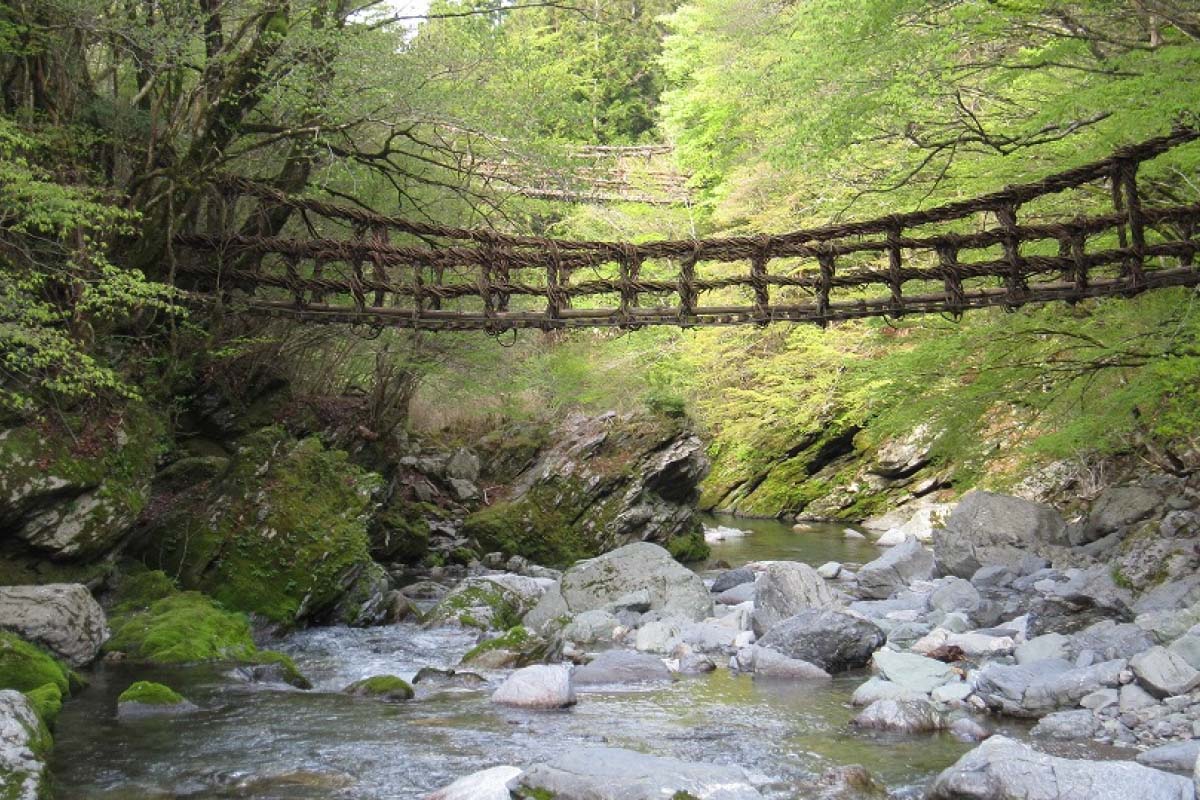 7 ways to enjoy the hidden 